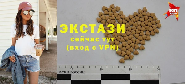 индика Богородицк