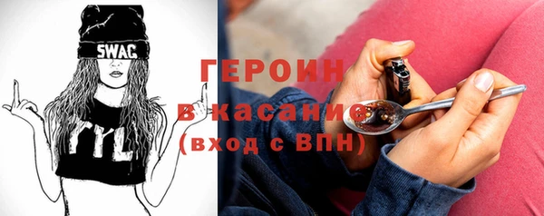 индика Богородицк