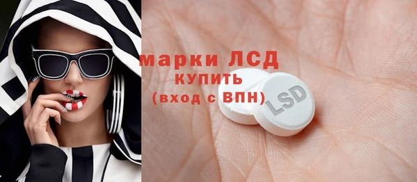 индика Богородицк