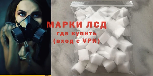 индика Богородицк