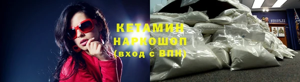индика Богородицк
