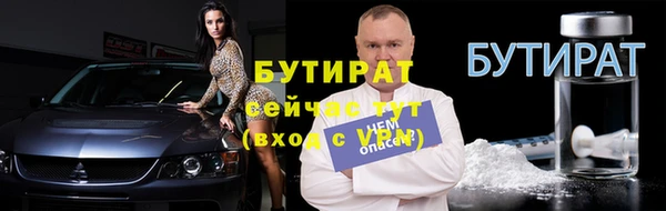 индика Богородицк