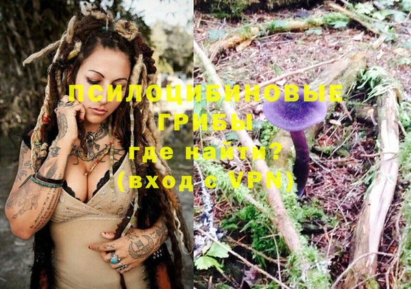 экстази Богданович