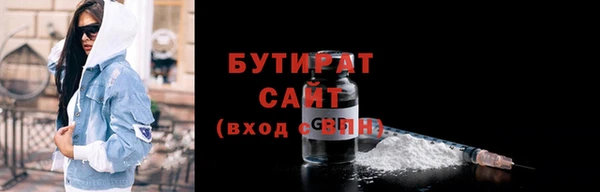 индика Богородицк