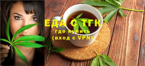 индика Богородицк