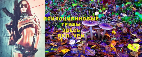 индика Богородицк