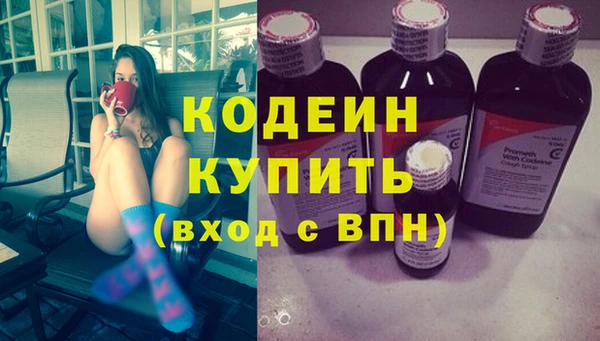 индика Богородицк
