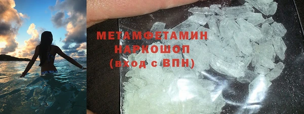 индика Богородицк