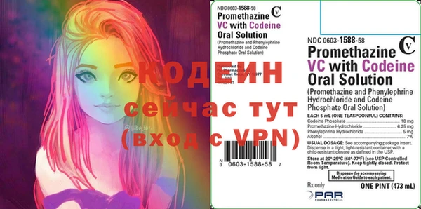 индика Богородицк