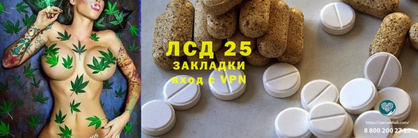 экстази Богданович