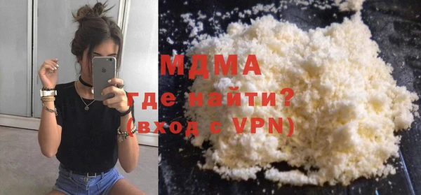 индика Богородицк