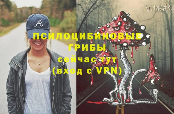 индика Богородицк